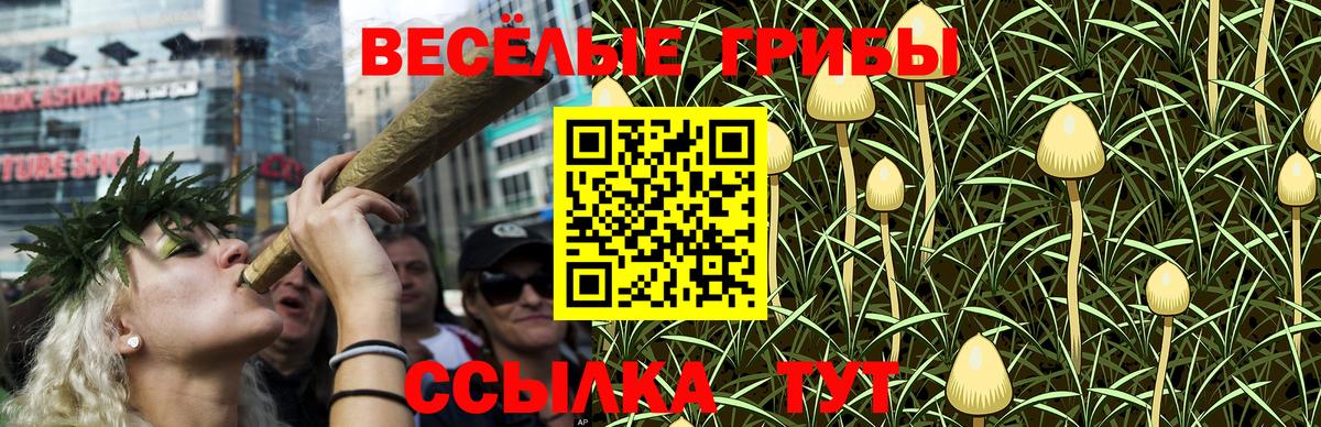 Петропавловск-Камчатский  наркотики  Вход с VPN  Галлюциногенные грибы Psilocybine cubensis 