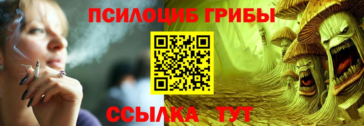 Галлюциногенные грибы Cubensis Петропавловск-Камчатский
